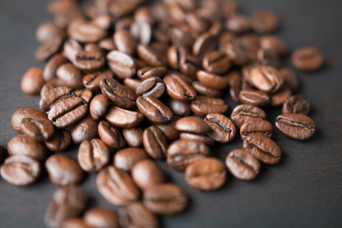 At the drum roaster, backlit by the workshop window